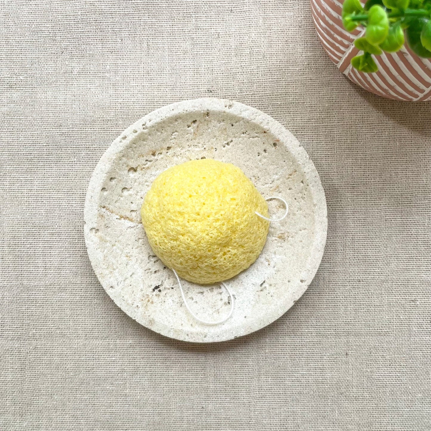 éponge konjac