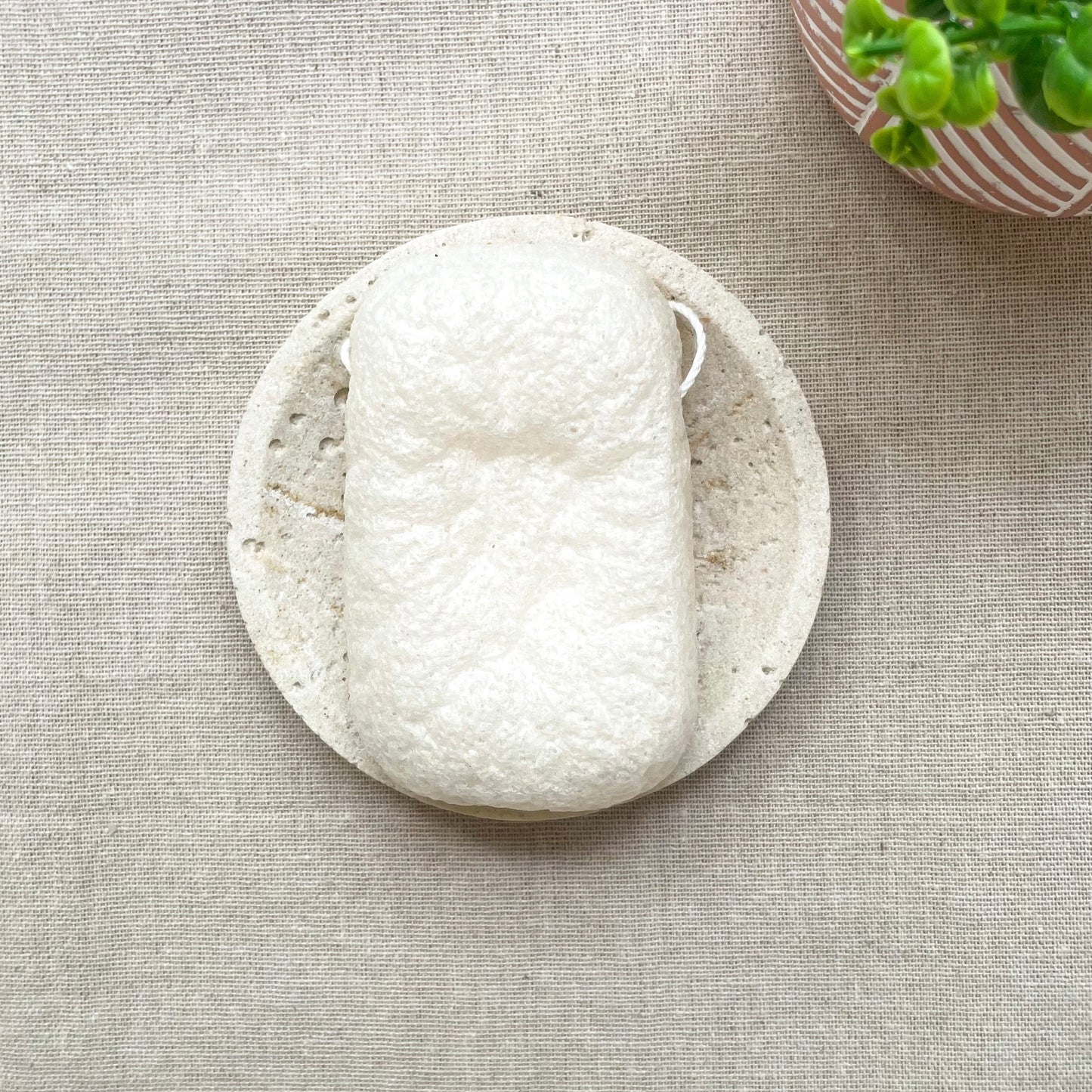 éponge konjac
