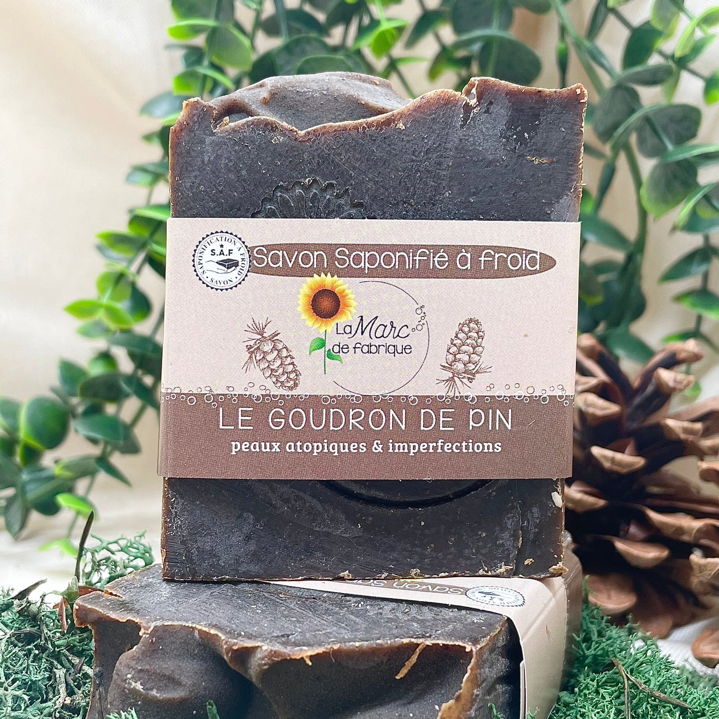 Le Goudron de Pin